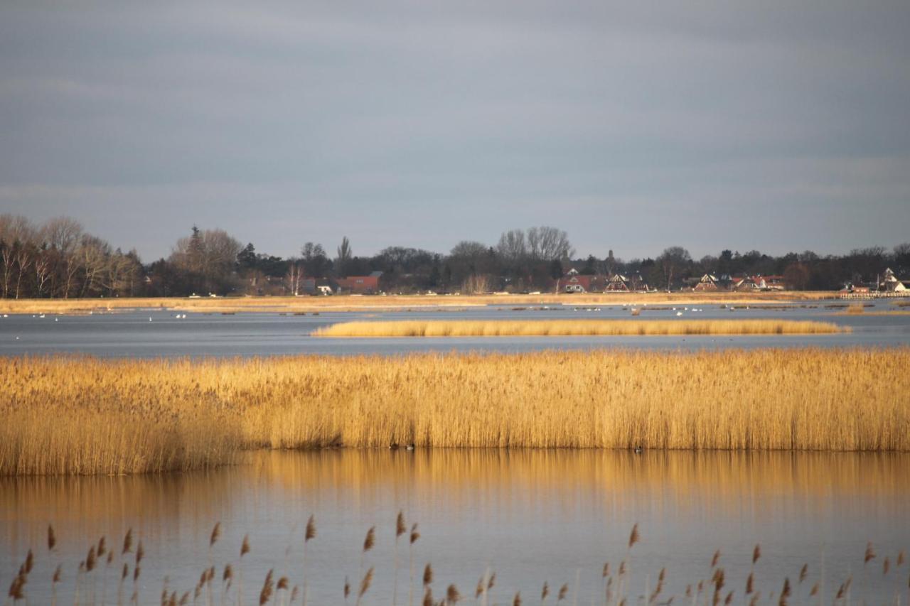 Dat Dardel Hus Born Buitenkant foto