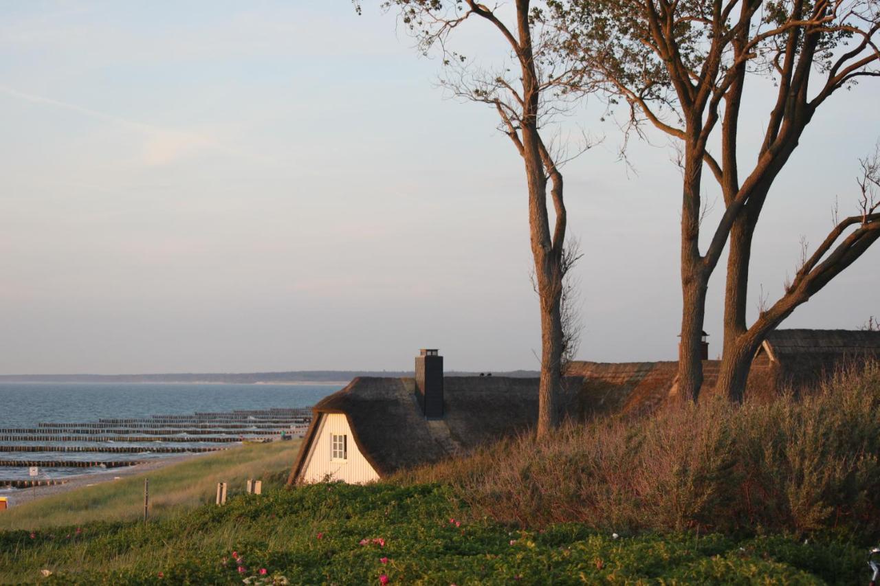 Dat Dardel Hus Appartement Born Buitenkant foto