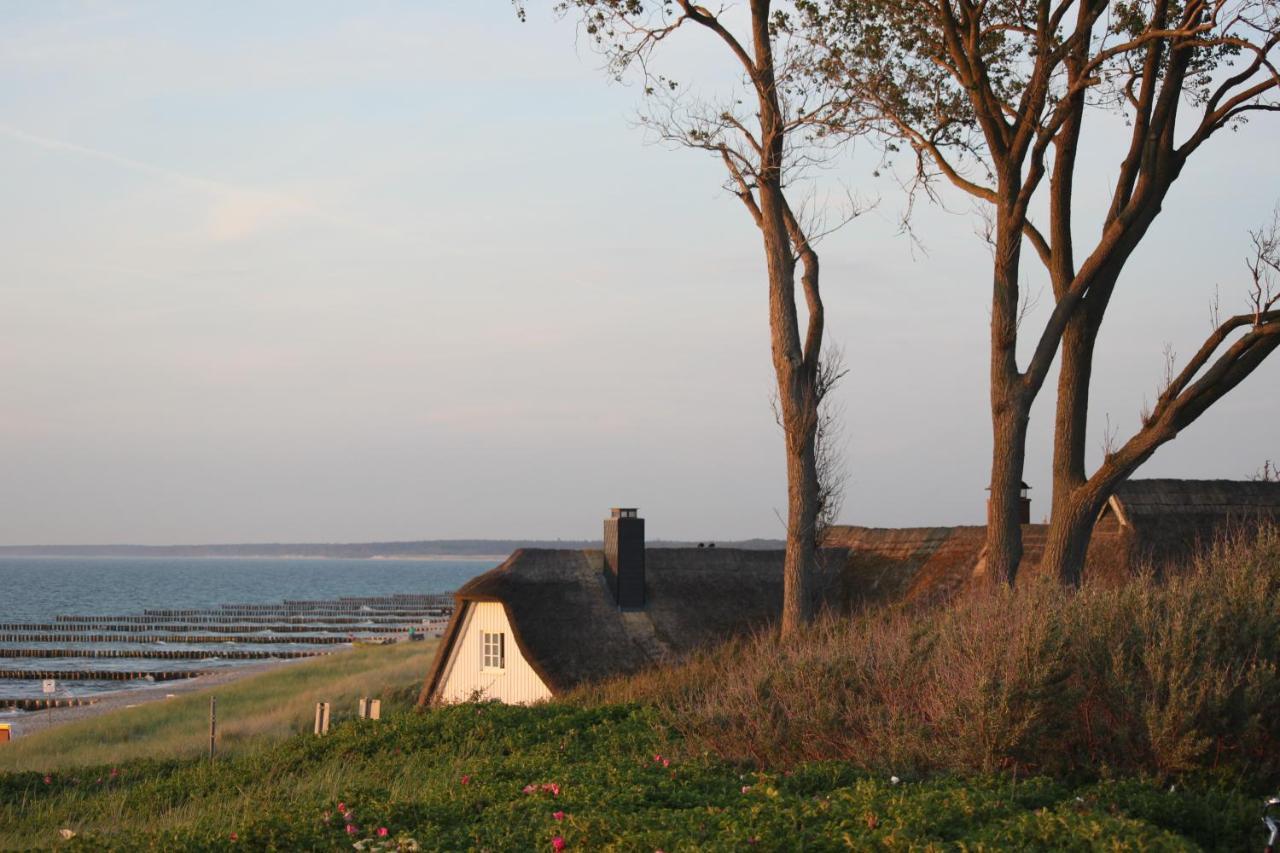 Dat Dardel Hus Born Buitenkant foto